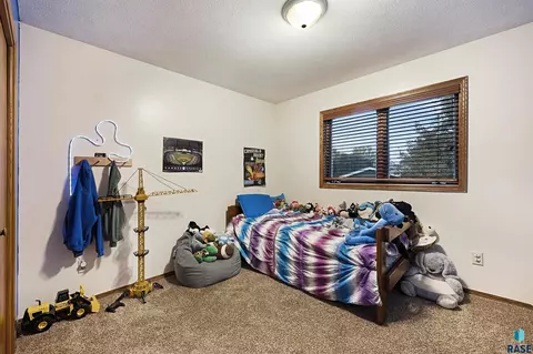 320 Lisa Cir, Tea, SD 57064 photo 19
