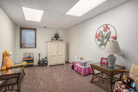920 S Grant Ave, Madison, SD 57042 photo 24