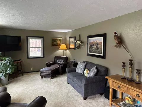 410 Hyden Dr, Alcester, SD 57001 photo 10