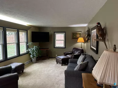 410 Hyden Dr, Alcester, SD 57001 photo 8