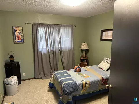 410 Hyden Dr, Alcester, SD 57001 photo 20