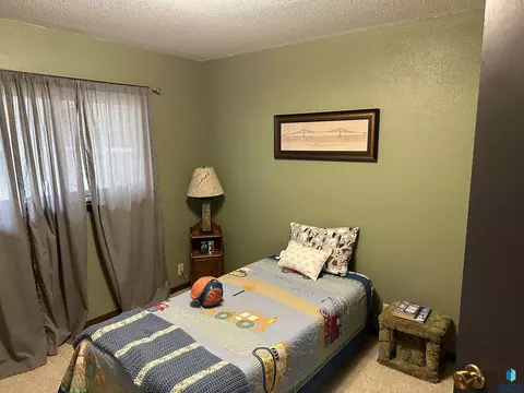 410 Hyden Dr, Alcester, SD 57001 photo 21