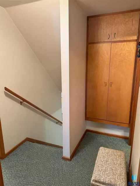821 S Relanto St, Freeman, SD 57029 photo 27