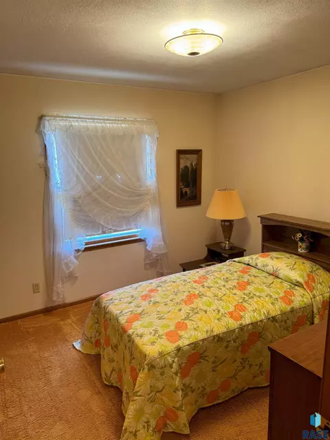 821 S Relanto St, Freeman, SD 57029 photo 24