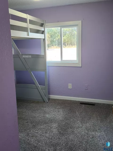 303 E 2nd St, Dell Rapids, SD 57022 photo 9