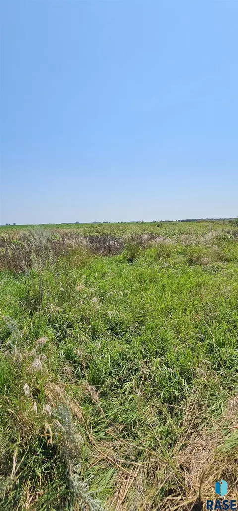 26606 429 Ave, Emery, SD 57332 photo 3