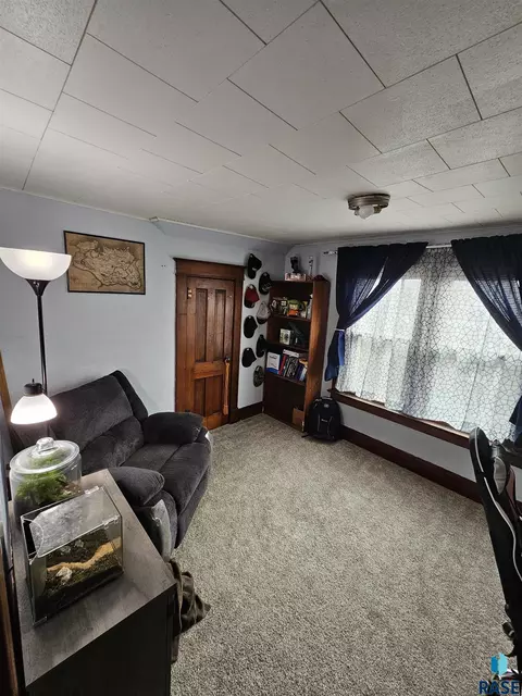207 N Main St, Viborg, SD 57070 photo 19