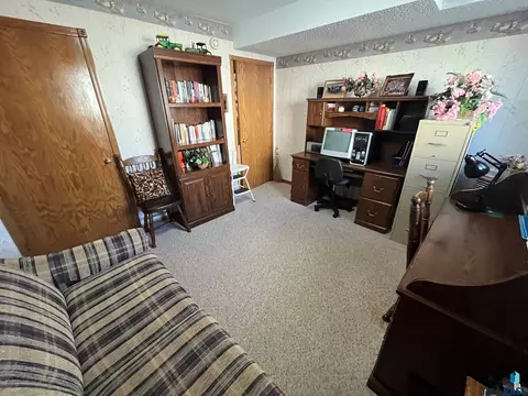 715 S Albert St, Freeman, SD 57029 photo 46