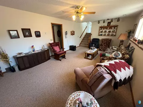 715 S Albert St, Freeman, SD 57029 photo 50