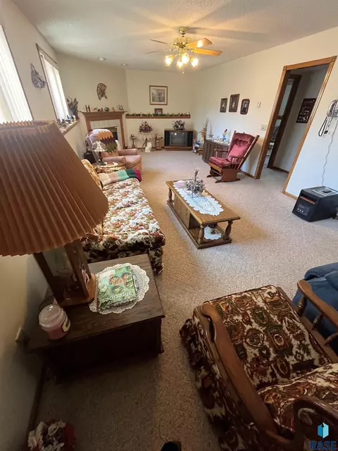 715 S Albert St, Freeman, SD 57029 photo 51