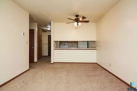 Living - 1411 E Rushmore Dr, Brandon, SD 57005 photo 5 of 7