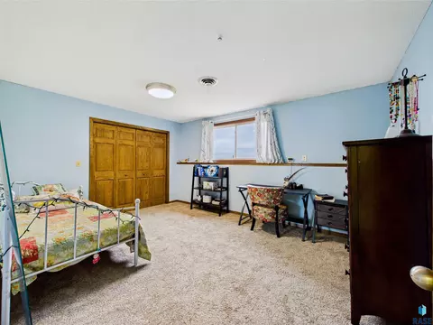 48124 268th St, Brandon, SD 57005 photo 29
