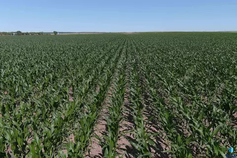 tbd 203rd St, Pierre, SD 57501 photo 5
