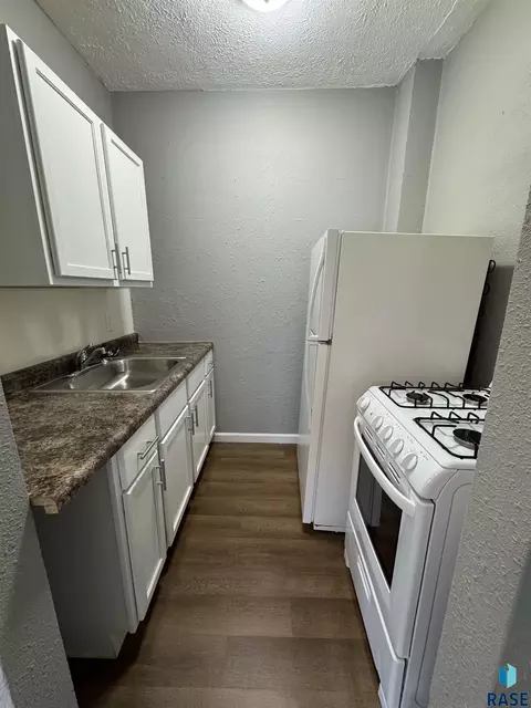 316 E 15th St, Sioux Falls, SD 57104 photo 3