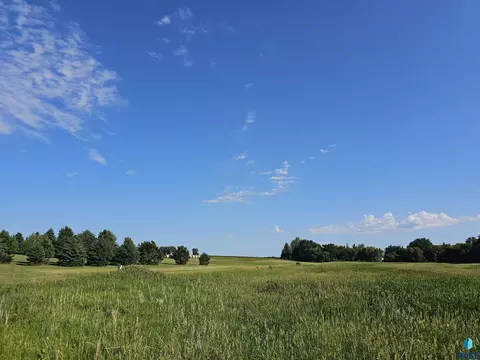 24111 461st Ave, Chester, SD 57016 photo 19