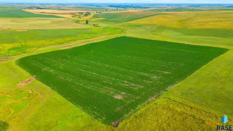 tbd 339th Ave, Gregory, SD 57533 photo 3