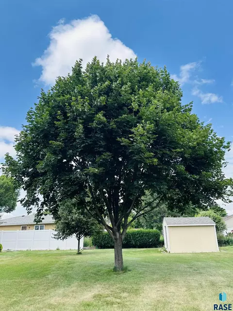 Exterior - Division Ave, Madison, SD 57042 photo 18 of 18