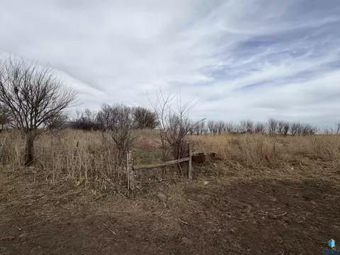 Other - 29176 458th Ave, Viborg, SD 57070 photo 5 of 11