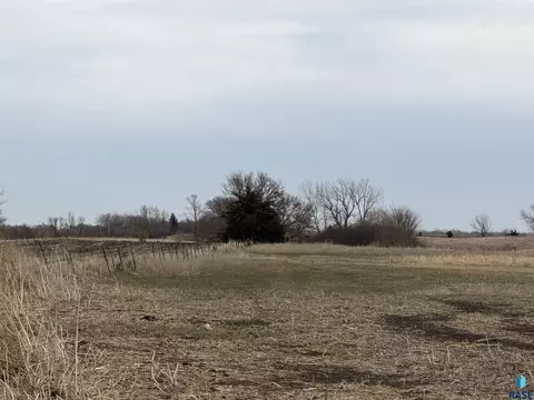 Other - 29176 458th Ave, Viborg, SD 57070 photo 6 of 11