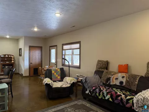 219 S Division Ave, Madison, SD 57042 photo 20