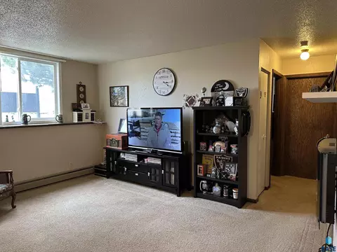 Living - 701 E 6th St, Freeman, SD 57029 photo 7 of 9