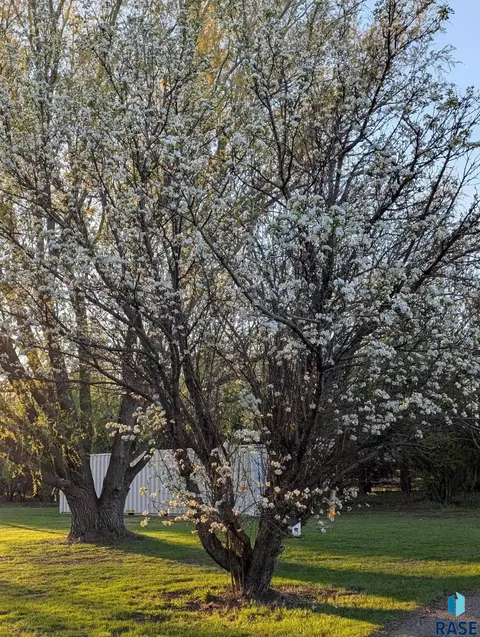 Other - 705 E Farmer Ave, Howard, SD 57349 photo 13 of 16