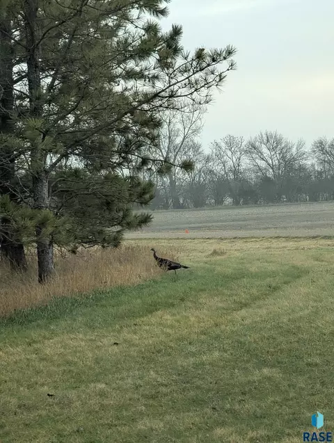 Other - 705 E Farmer Ave, Howard, SD 57349 photo 12 of 16