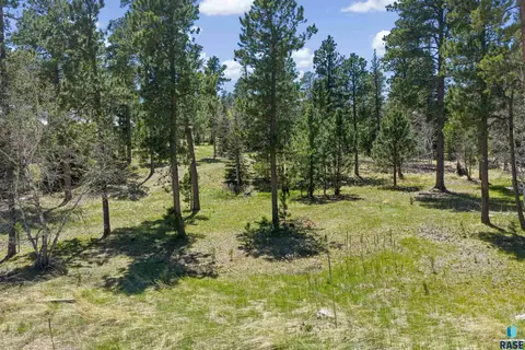 Rubys Way, Lead, SD 57754 photo 6