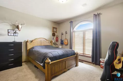 Bedroom - 27217 Lovely Pl, Tea, SD 57064 photo 3 of 4