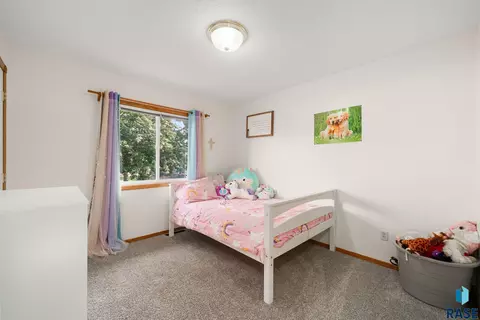 817 E Pine St, Brandon, SD 57005 photo 23