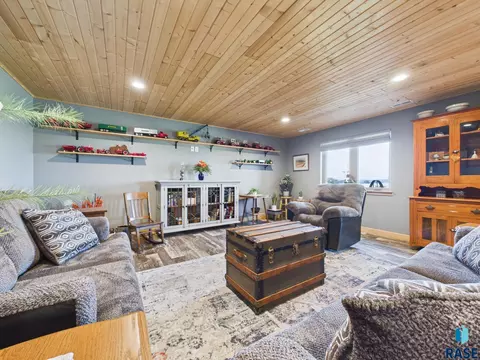 Living - 47504 Pony Meadow Ct, Renner, SD 57055 photo 8 of 11