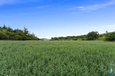 Other - 25876 481st Ave, Brandon, SD 57005 photo 38 of 43