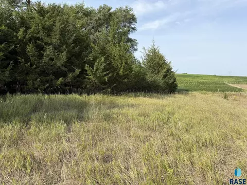 Other - 44666 289th St, Viborg, SD 57070 photo 21 of 23