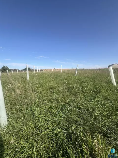 472 Nd Ave, Dell Rapids, SD 57022 photo 8