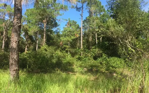 2835 Nutmeg Ct, Sebring, FL 33872 photo 21