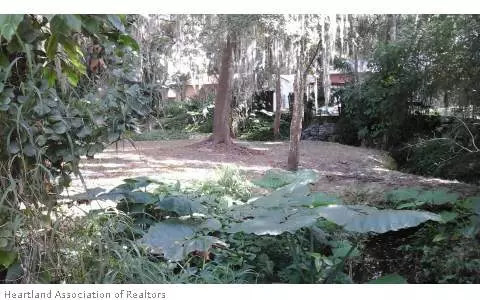 348 Circle Dr, Wauchula, FL 33873 photo 5