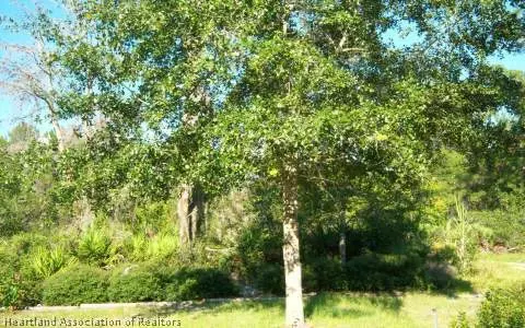 481 Goff Ln, Sebring, FL 33875 photo 21
