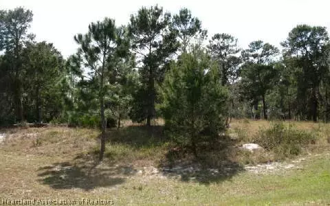1609 Willow Run, Sebring, FL 33872 photo 16