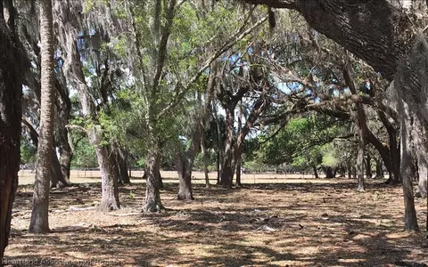 220 Doe Run, Lorida, FL 33857 photo 4