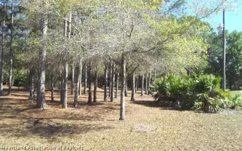4025 Eiland Dr, Sebring, FL 33875 photo 7