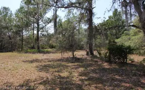 9135 Morgan Path, Sebring, FL 33875 photo 22