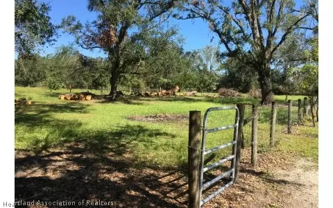 1375 Painter Rd, Wauchula, FL 33873 photo 21