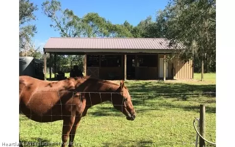 1375 Painter Rd, Wauchula, FL 33873 photo 18
