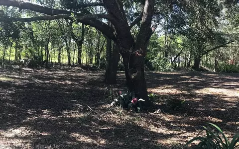 9117 Mare Path, Sebring, FL 33875 photo 8