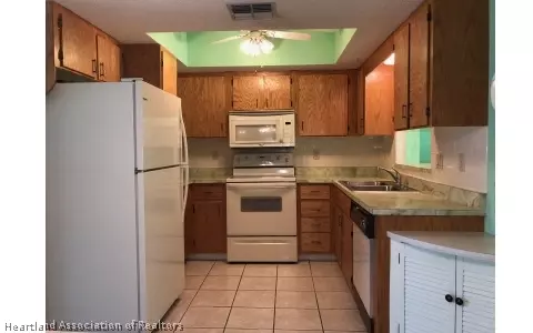 3828 Thunderbird Hill Cir, Sebring, FL 33872 photo 3