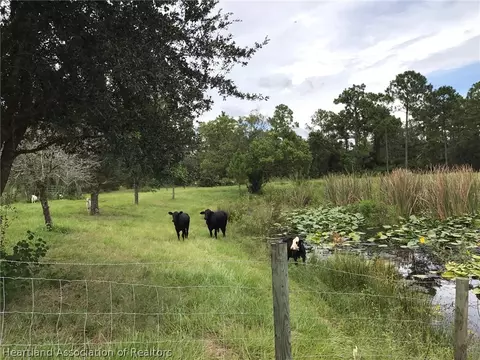 689 Moon Ranch Rd, Sebring, FL 33870 photo 7