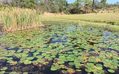 689 Moon Ranch Rd, Sebring, FL 33870 photo 1