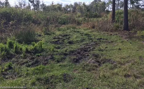 689 Moon Ranch Rd, Sebring, FL 33870 photo 6