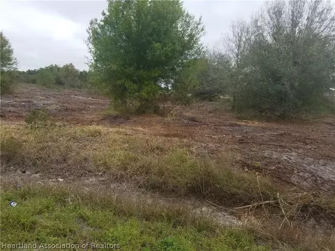 205 Bluff Hammock Rd, Lorida, FL 33857 photo 2