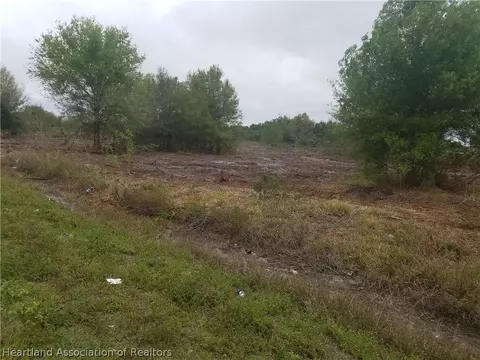 205 Bluff Hammock Rd, Lorida, FL 33857 photo 3
